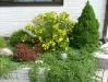2004_aed_0828(002)