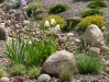 2005_aed_ 006